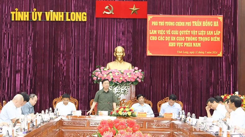 Deputy Prime Minister Tran Hong Ha speaking at the meeting.