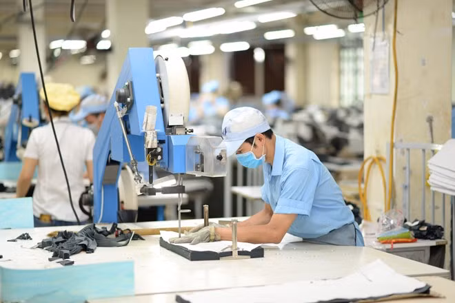 The production of garments for export. (Photo: Vietnam+)