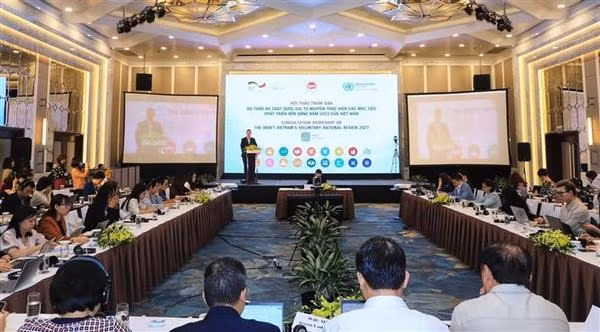 An overview of the conference (Photo: VNA)