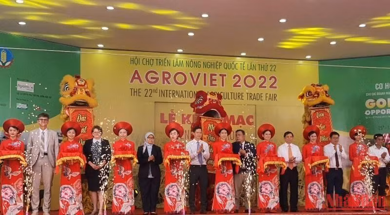 At the opening ceremony (Photo: NDO)