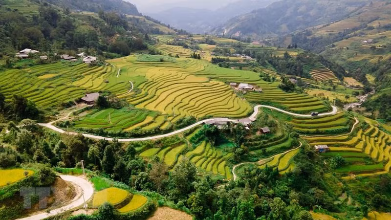Terraced fields look like stairs sketching to the horizon (Photo: VNA)