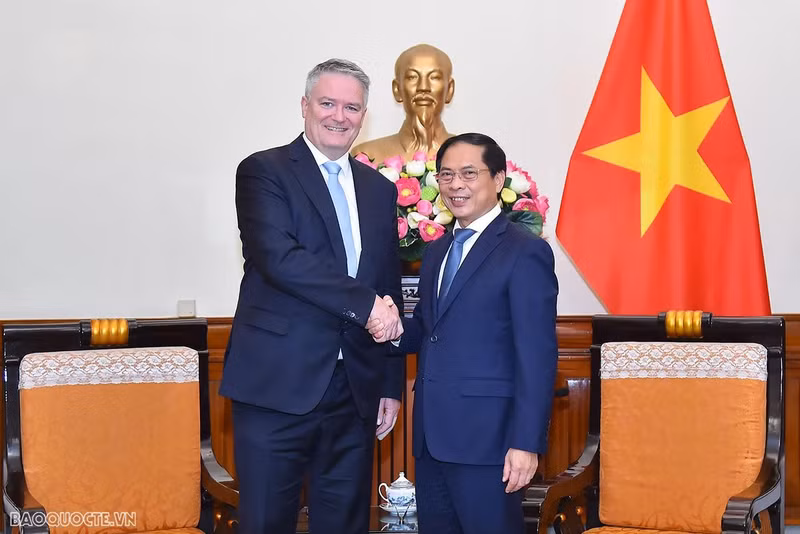 Foreign Minister Bui Thanh Son (R) receives Secretary General of the OECD Mathias Cormann (Photo: baoquocte.vn)