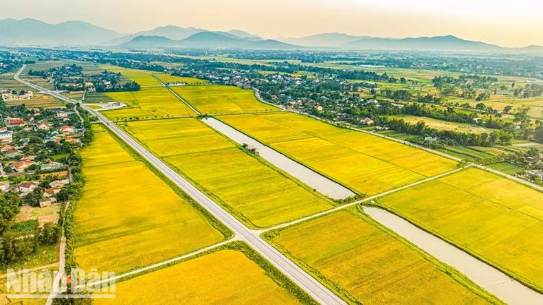 The face of the new-style rural village is also full of new vitality.