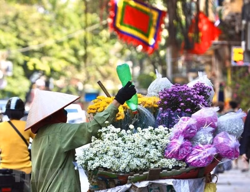 All kinds of colourful flowers appear on the streets. (Photo: Hoang Hieu/VNA)