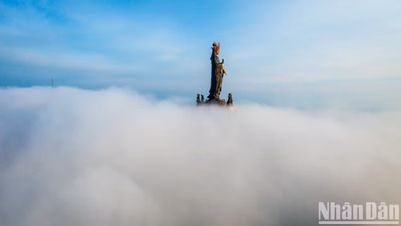 The highlight of this mountain is the "Tay Bo Da Son” Bodhisattva statue located on the top of the 72m high mountain. The statue was designed, intricately carved, cast with more than 170 tonnes of red copper. It set a record by the Asian Records Organisation, as "Asia's tallest bronze Buddha statue located on top of a mountain". The highlight of this mountain is the "Tay Bo Da Son” Bodhisattva statue located on the top of the 72m high mountain. The statue was designed, intricately carved, cast with more than 170 tonnes of red copper. It set a record by the Asian Records Organisation, as "Asia's tallest bronze Buddha statue located on top of a mountain".