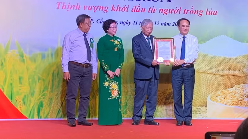 Vietnam Rice Industry Association makes debut