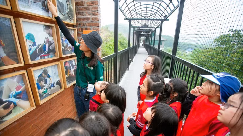 Students participate in the experience at Bear Sanctuary Ninh Binh.