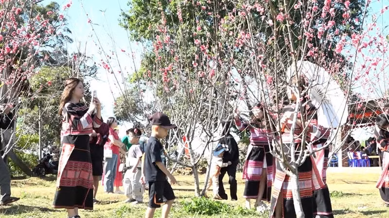 2025 Peach Blossom Festival.