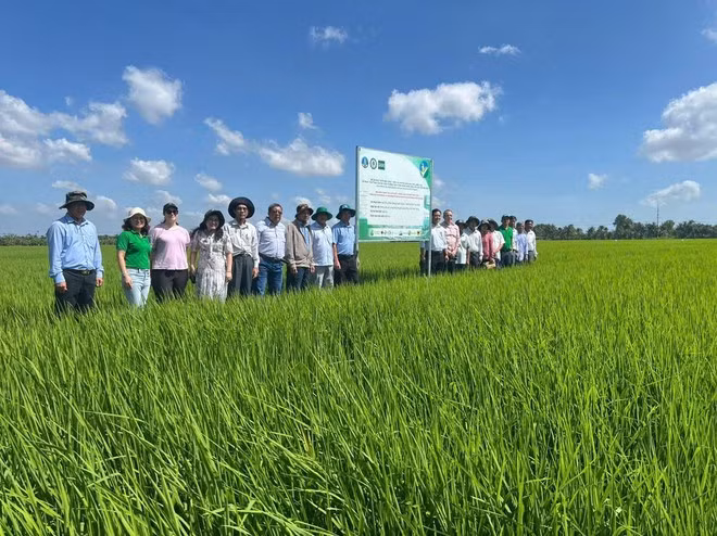 Agriculture has been a cornerstone in the Vietnam - New Zealand cooperation. (Photo: VNA)