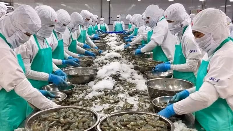Shrimp is one of Vietnam's important seafood exports to the US. (Illustrative image)