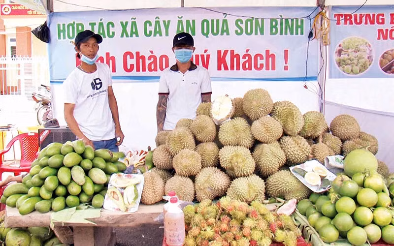 A fruit stall at the Khanh Son Fruit Festival, Khanh Hoa Province. (Photo: PHONG NGUYEN)