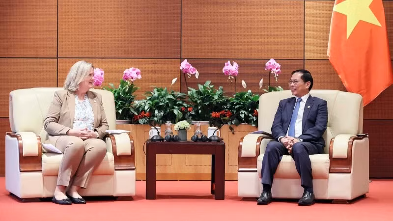 Deputy Prime Minister Bui Thanh Son (R) and Lina Hansen, State Secretary for Trade and Investments at Denmark’s Ministry of Foreign Affairs. (Photo: VNA)