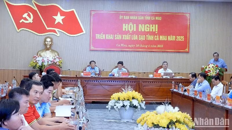 At the conference on rice production in Ca Mau on the afternoon of April 18.