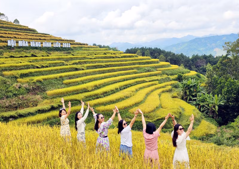 Visitors take photos in ripening rice fields in Binh Lieu District (Photo: baoquangninh.vn)