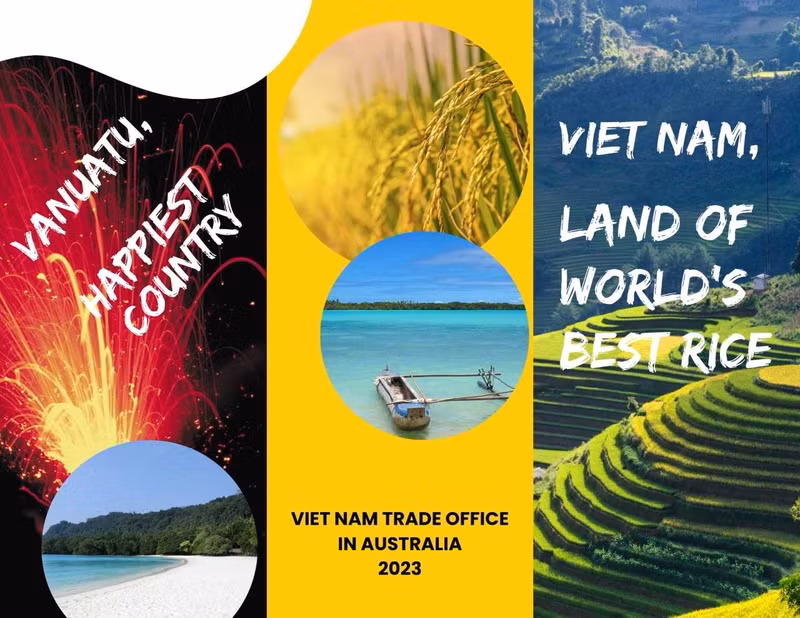 Vietnam's ST25 rice exported to the Republic of Vanuatu
