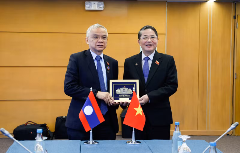 NA Vice Chairman Nguyen Duc Hai (R) meets with Vice Chairman of the Lao National Assembly Sommad Pholsena. (Photo: VNA)