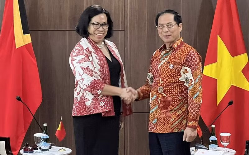 Foreign Minister Bui Thanh Son (R) and Minister of Foreign Affairs and Cooperation of Timor Leste Adaljiza Albertina Xavier Reis Magno at the meeting (Photo: VNA)