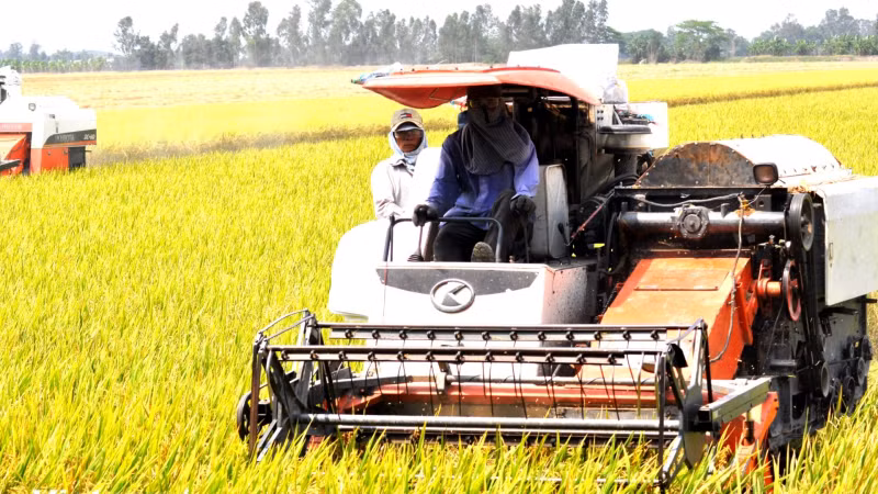 Investing in green technology is considered the key for Vietnamese businesses to reach out to the world. (Photo: VNA)