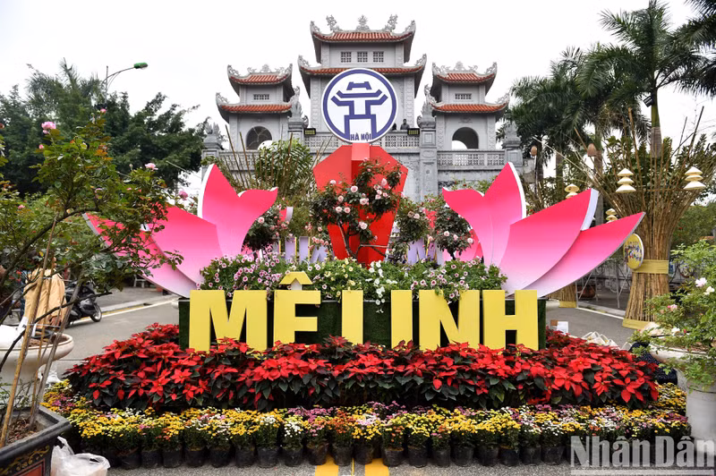 Hanoi: Flower festival opens in Me Linh District 
