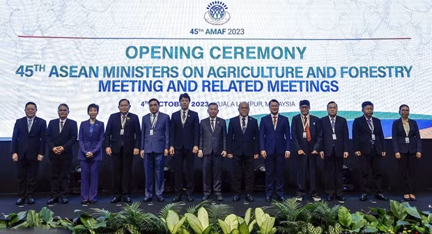 Delegates to the meeting in a group photo. (Photo: VNA)