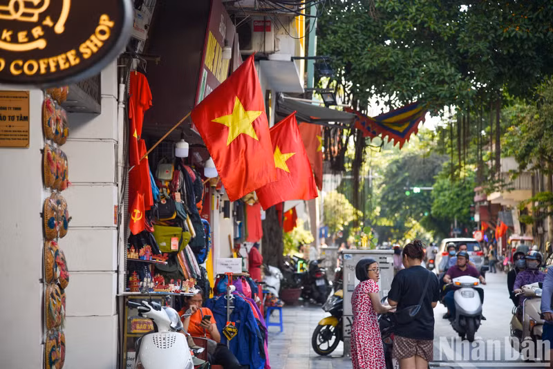 [In Pictures] Streets of Hanoi coloured in flags and flowers to celebrate Vietnam's National Day ảnh 12