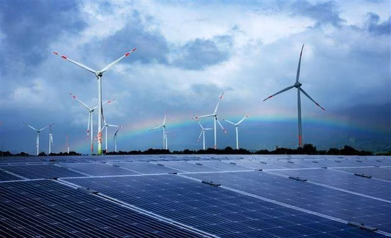 Illustrative image (Photo: VGP)