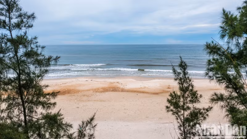 If you want quiet while enjoying the whole "ocean", visitors should not miss this beautiful and wild beach.