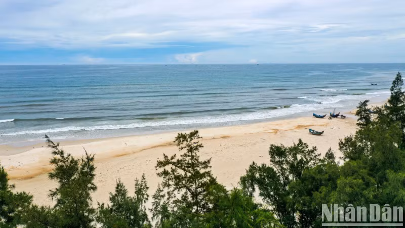 The wild beauty of Vinh Thai Beach.