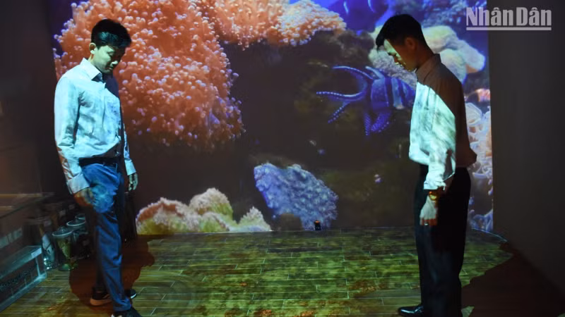 Imprints of marine culture with the most modern automatic sensor technology applied at Da Nang Museum. (Photo: ANH DAO)