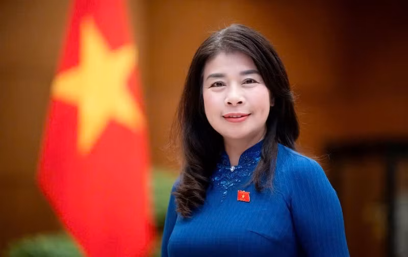 Vice Chairwoman of the National Assembly Committee for External Relations Le Thu Ha (Photo: VNA)