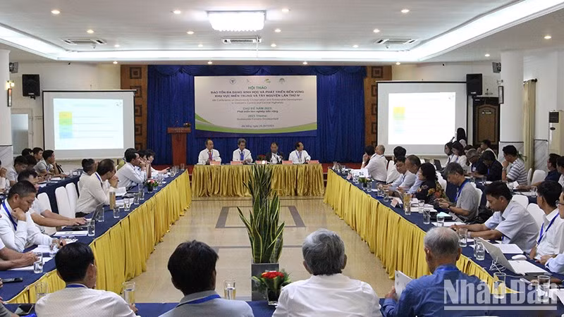 Overview of conference. 