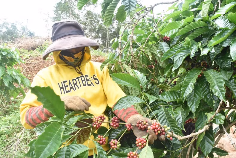 Green standards are both a challenge and an opportunity for businesses. Green standards are both a challenge and an opportunity for businesses.