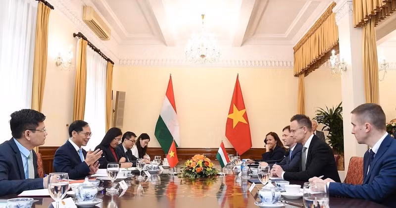 Deputy Prime Minister and Minister of Foreign Affairs Bui Thanh Son (second, left) holds talks with Hungarian Minister of Foreign Affairs and Trade Szijjarto Peter. (Photo: VNA)