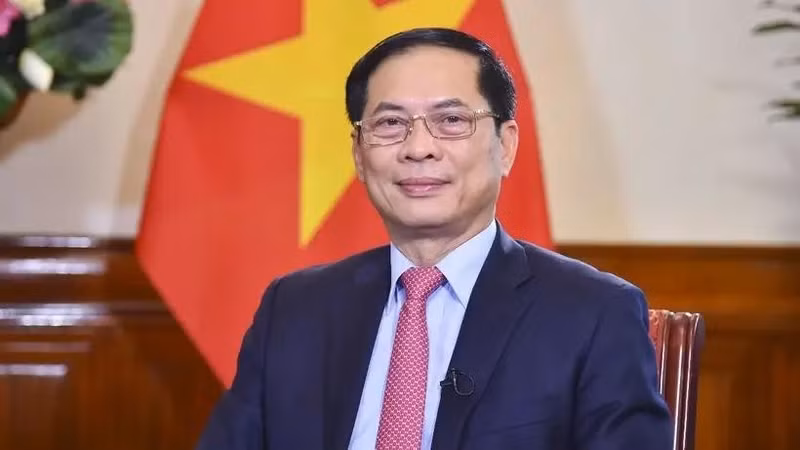 Deputy Prime Minister and Minister of Foreign Affairs Bui Thanh Son (Photo: VNA)