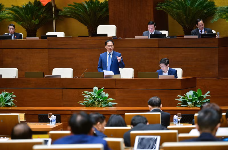  Minister of Foreign Affairs Bui Thanh Son speaking at the event (Photo: quochoi.vn)