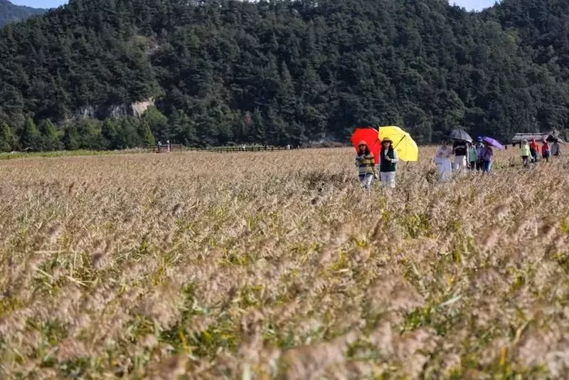 Tourists visit Suncheon Bay, the RoK (Photo: xinhua/VNA)