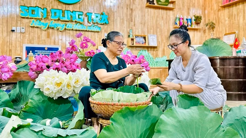 Production of lotus tea at Son Dung Tea Cooperative in Thai Nguyen Province.
