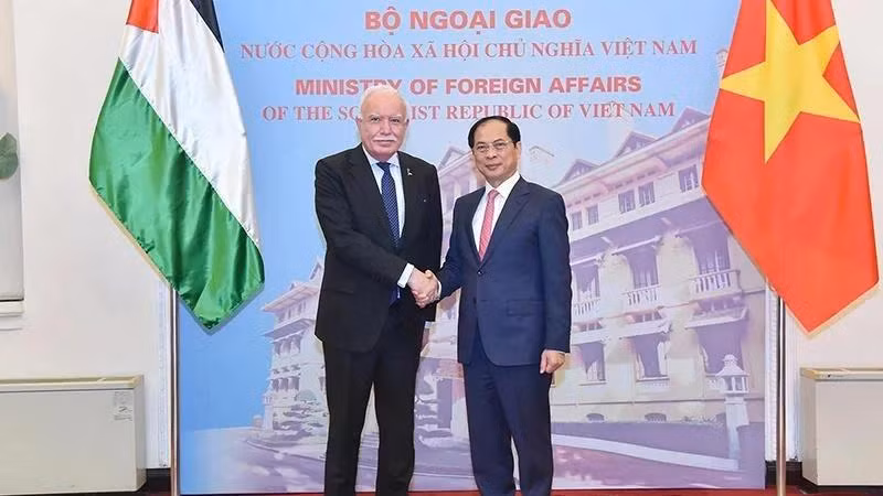 Deputy Prime Minister and Minister of Foreign Affairs Bui Thanh Son (right) receives Special Envoy of the President and Advisor for International Affairs of Palestine Riad Malki in Hanoi on December 25. (Photo: VNA)
