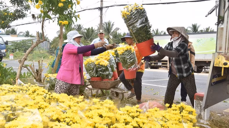 The demand is particularly high in Ho Chi Minh City and nearby provinces.