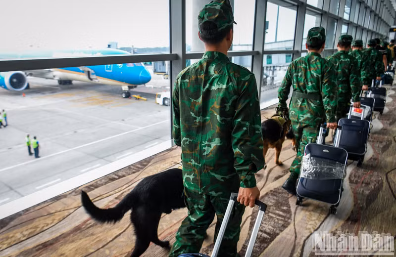 During their mission in Myanmar, the Vietnamese army’s rescue team discovered 32 locations with trapped victims under the rubble. They also directly organised searches at 20 locations and recovered 21 bodies. During their mission in Myanmar, the Vietnamese army’s rescue team discovered 32 locations with trapped victims under the rubble. They also directly organised searches at 20 locations and recovered 21 bodies.
