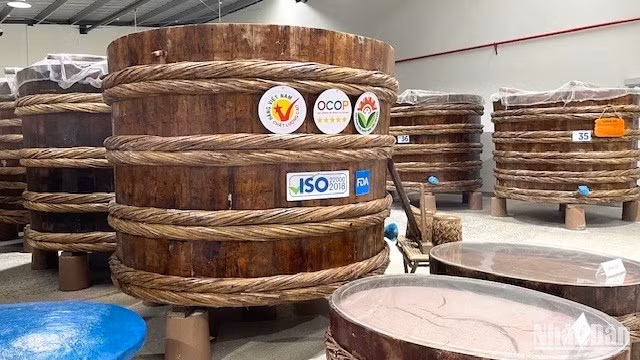 Barrels of fish sauce at Le Gia fish sauce workshop in Hoang Phu Commune, Hoang Hoa District, Thanh Hoa Province (Photo: NGOC LIEN)