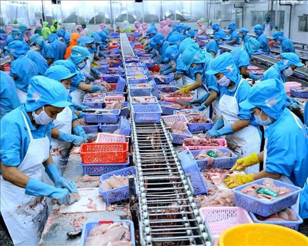 Trade between Vietnam and Brunei has surpassed the target of 500 million USD ahead of schedule for 2025. (Illustrative photo: VNA) Trade between Vietnam and Brunei has surpassed the target of 500 million USD ahead of schedule for 2025. (Illustrative photo: VNA)