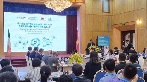 An overview of the conference (Photo: VNA)