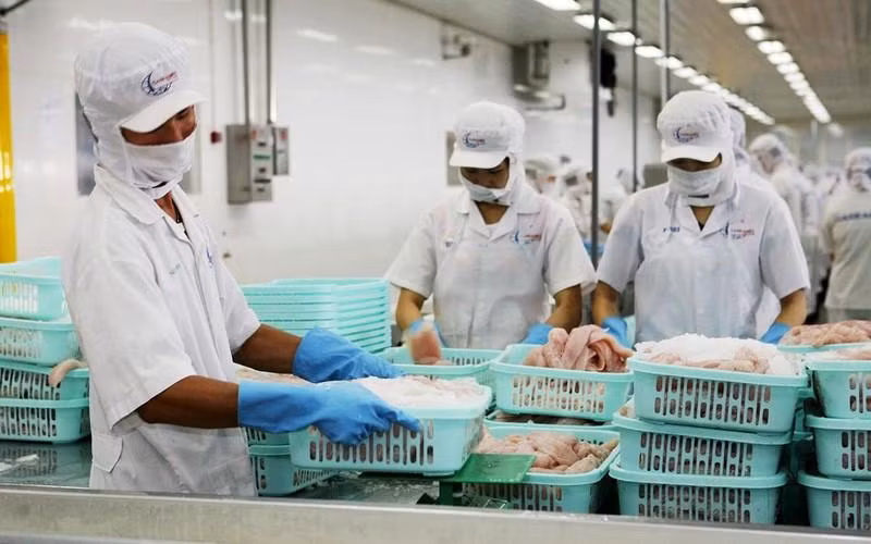 Potential seafood products for export to the Nordic market. (Photo: QUOC TUAN)