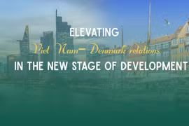 Elevating Viet Nam–Denmark relations in the new stage of development