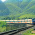 Under the proposal prepared by the VRC, the tourist train will travel approximately 190 km, connecting Hue, Dong Ha, My Trach, Dong Hoi and Tho Loc stations. (Illustrative photo: VNA)