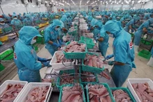 Workers process aquatic products for export. (Photo: VNA)