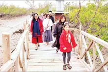 Tourists visit the mangrove forest at Dragon Hill, Do Son Ward, Hai Phong City. (Photo: NGUYEN DANG)