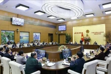 Illustrative image (Photo: VNA)