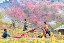 Spring hues in the highlands. (Photo: DUONG TOAN)